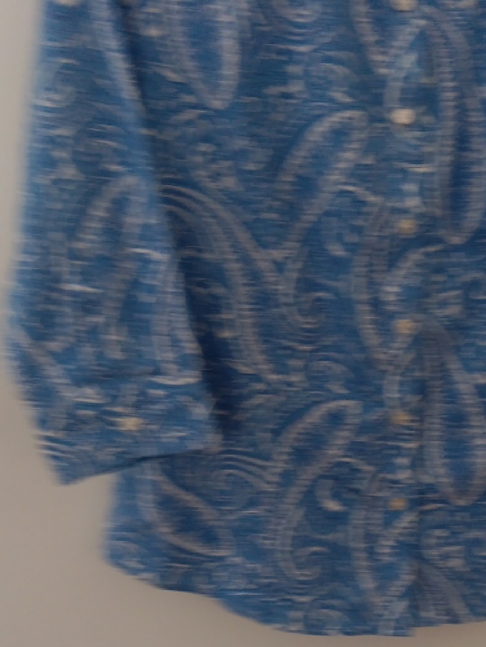 Talbots Wrinkle Resistant Paisley Button-Down Shirt #3531 - Picture 4 of 7